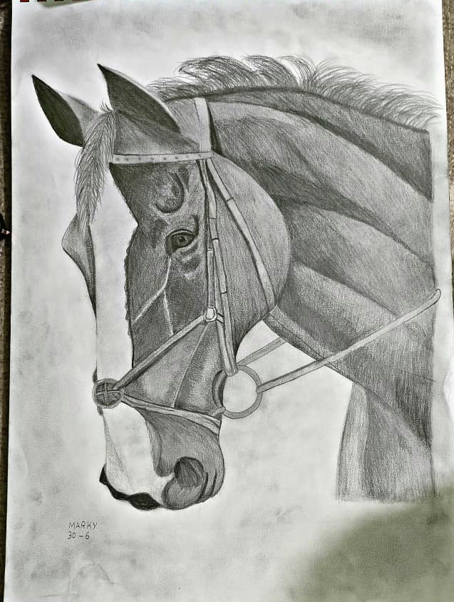 لوحة مرسومة لتلوين